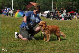 Måzart på utställning 2008